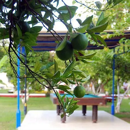 Tal Hotel